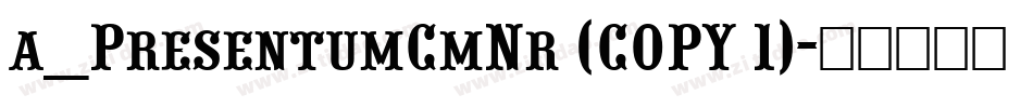 a_PresentumCmNr (COPY 1)字体转换